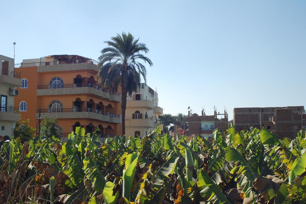 Al Gezera Apartments Luxor Szoba fotó